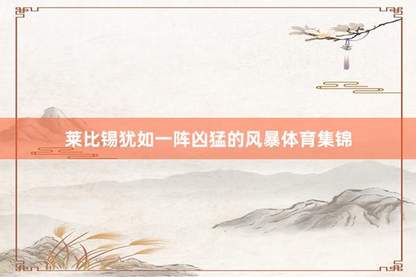 莱比锡犹如一阵凶猛的风暴体育集锦