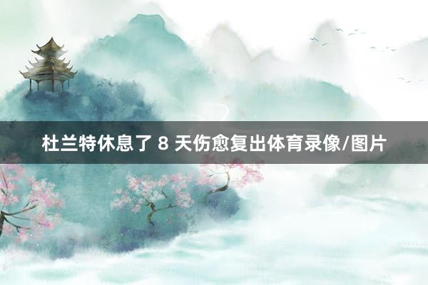 杜兰特休息了 8 天伤愈复出体育录像/图片
