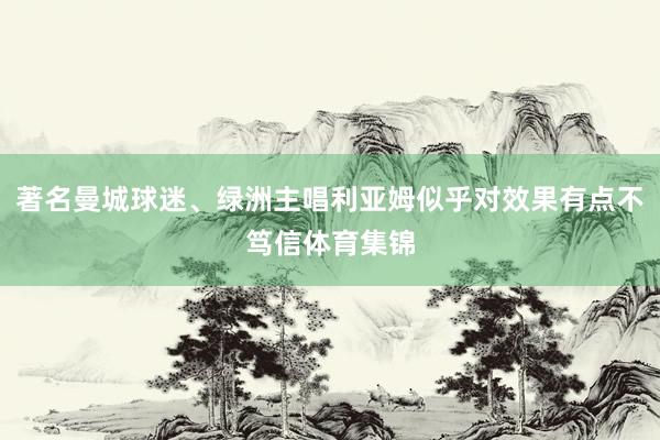 著名曼城球迷、绿洲主唱利亚姆似乎对效果有点不笃信体育集锦