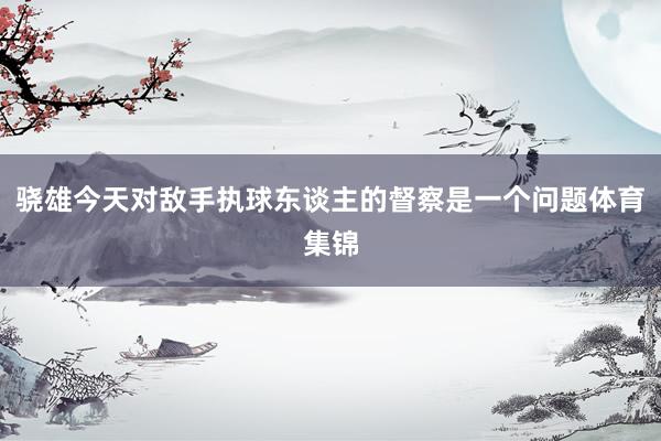 骁雄今天对敌手执球东谈主的督察是一个问题体育集锦
