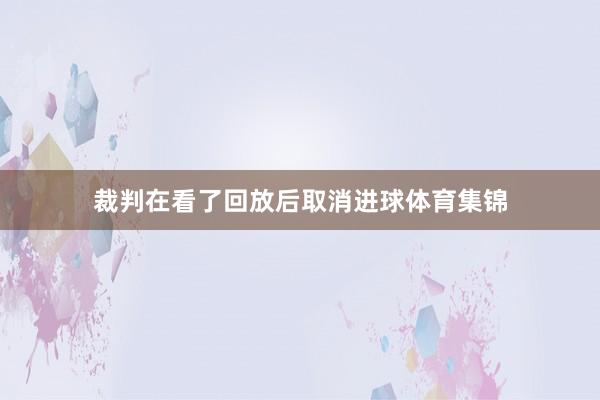 裁判在看了回放后取消进球体育集锦